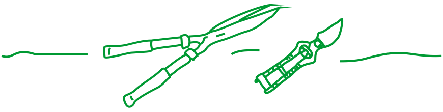 Tijeras poda, cortasetos.
