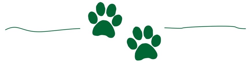Mascotas